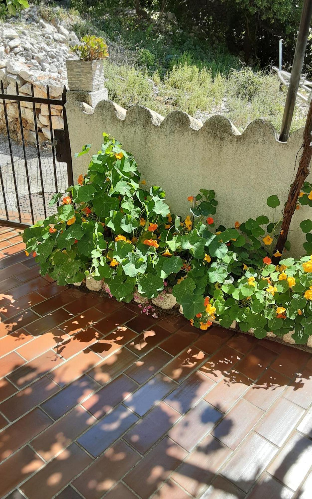 Apartman Legac Starigrad  Exterior photo